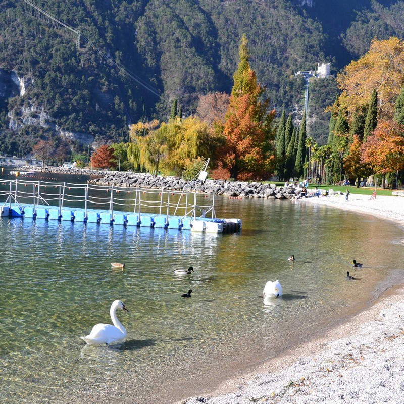 Relax-Ferienwohnungen Rivappartamenti in Riva del Garda